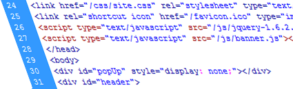 Web Development